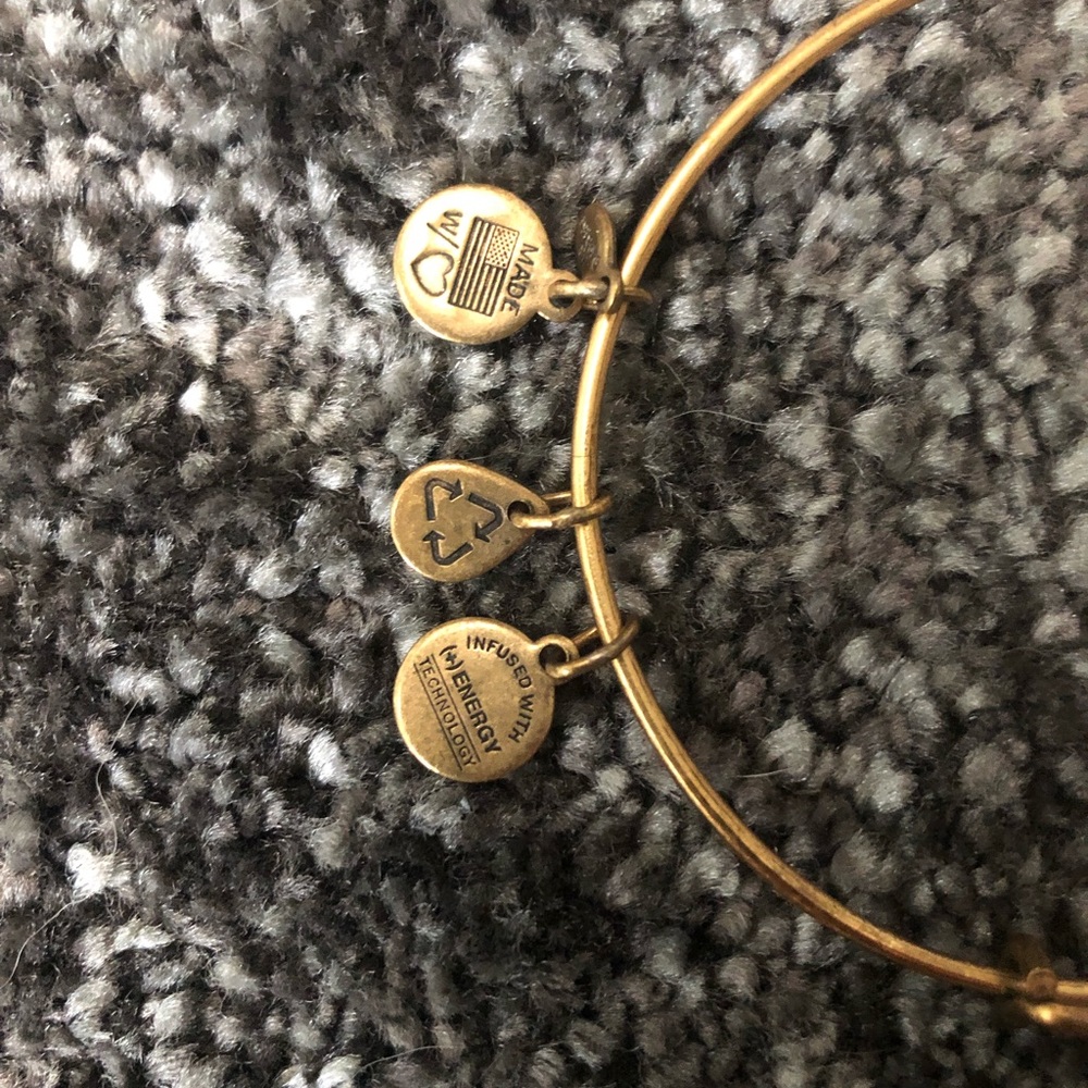 Alex And Ani Compass Bangle - Picture 2 of 2